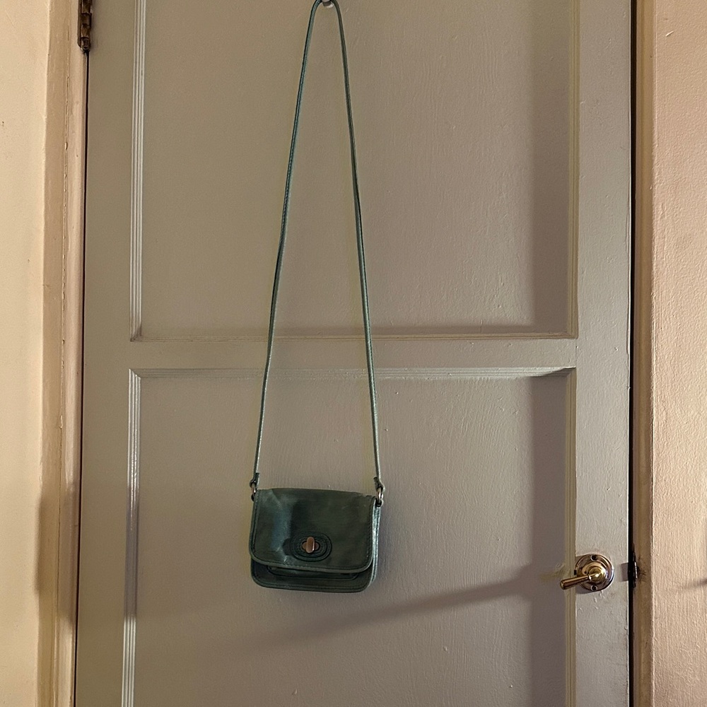 Fossil Crossbody Bag